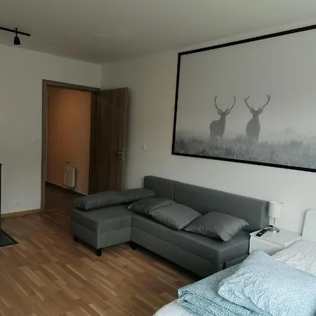 Apartamento Brand New #71 With Free Secure Parking In The Center *